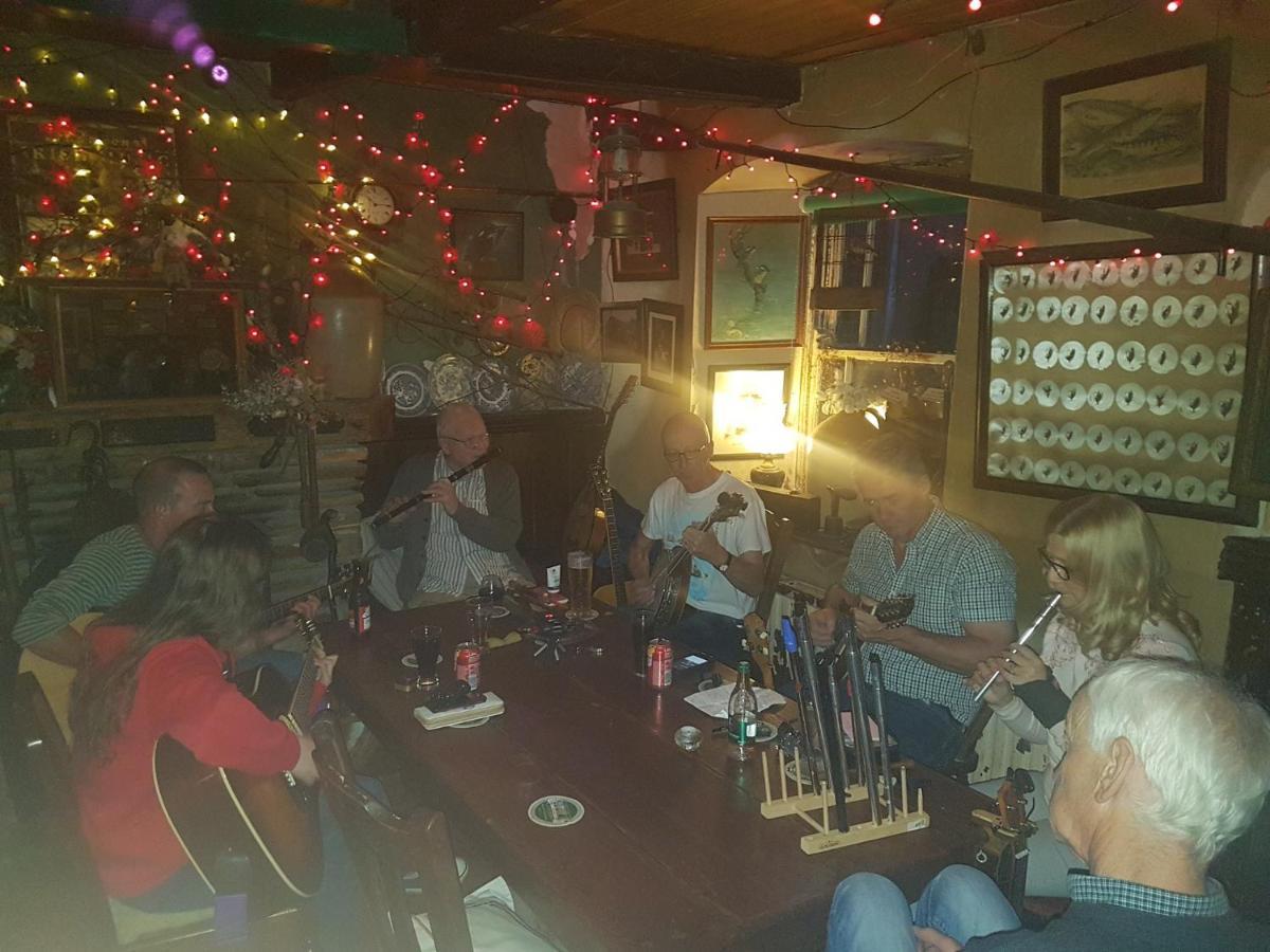 Kingfisher Lodge & Pub Castleconnell Kültér fotó