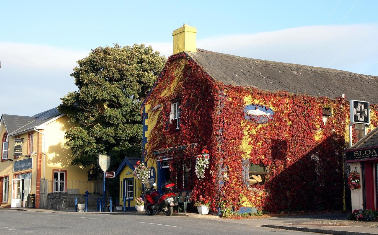 Kingfisher Lodge & Pub Castleconnell Kültér fotó